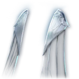 Wise Dragon Lord Cloak
