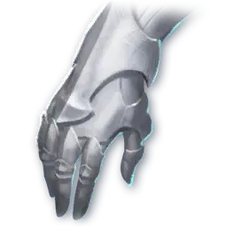 Vishwada Gloves