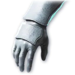 Teegant Gloves
