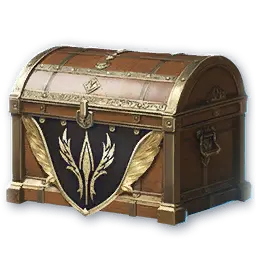 Skin Chest (10 times) (Bound)