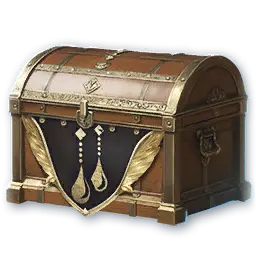 Skin Chest: Accessory (10 times) (Bound)