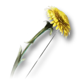 Hdar's Precious Instrument (Skin: Bow) (Bound)